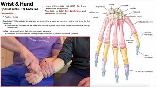 CMC Grind Test for First CMC Joint Osteoarthritis [upl. by Ailimac]