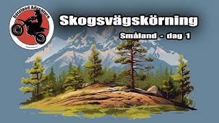 Skogsvägskörning Dag 1  Husqvarna Norden 901 KTM 690 Honda CRF250 [upl. by Haliled598]