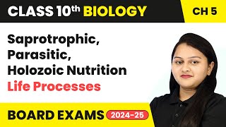 Saprotrophic Parasitic Holozoic Nutrition  Life Processes  Class 10 Biology Chapter 5  CBSE [upl. by Nelehyram]