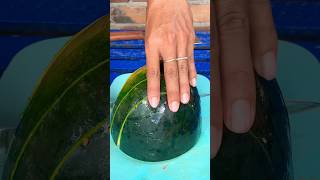 Watermelon chopping style fruit cuttingskills satisfying asmr viralvideo trending shorts [upl. by Tenneb]