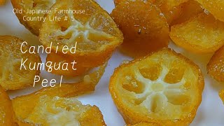 How to make Candied Kumquat Peel  Easy Recipe Japanese Farmhouse Countryside Life  6 [upl. by Paugh864]