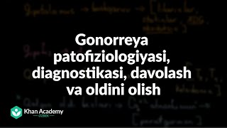 Gonorreya patofiziologiyasi diagnostikasi davolash va oldini olish  Tibbiyot [upl. by Suiratnauq]