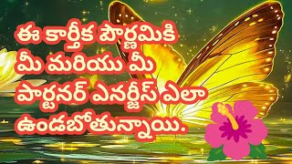 💯❤️ఈ కార్తీక పౌర్ణమికి మీ మరియు మీ పార్టనర్ ఎనర్జీస్ ఎలా వున్నాయితెలుసుకోండి [upl. by Vassell]