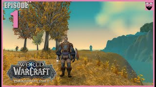 Lets Play World of Warcraft Dragonflight  In 2024  Fresh Start Paladin  Part 1  Chill Gameplay [upl. by Corena]