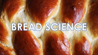 The Science of Bread Part 2  The Bread Making Process  Yeasted Bread [upl. by Asinet]