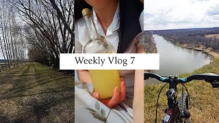 Weekly Vlog 6 first day in the garden and other community work [upl. by Bilicki8]