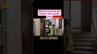 উইপোকা তেলাপোকা দমন Malibagh Dhaka PestControlbd termitecontrol cockroachcontrol shortvideo [upl. by Meeharb]