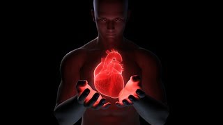 Cardiovascular System Live Lecture The Heart [upl. by Donna]