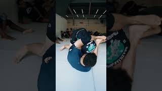 bjj jiujitsu jiu grappling nogi mma ufc jiujitsufighter oss bjjmotivation [upl. by Itsim314]