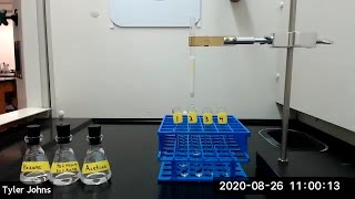 Column Chromatography [upl. by Roseanne]