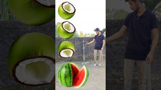 Rounding cut green coconuts to Grapes Mango lichi amp Watermelon  Fruits names magic video [upl. by Kuo641]