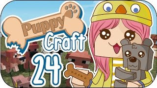 Puppy Craft  Ep 24  Minecraft  El zoo y empieza el reto [upl. by Spike]