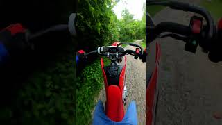 CRF110 Wheelie With NO BRAKES [upl. by Haliled]