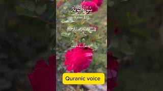 Surah At Tawba سورة التوبة quran viralvideo shortsvideo [upl. by Eiahpets]