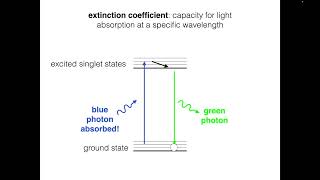 Fluorophore Brightness [upl. by Nednyl]