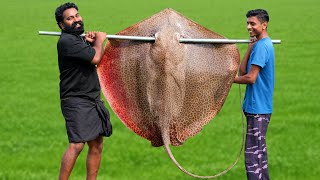 60 Kg Giant StingRay In Mud Hole  തിരണ്ടി ചുട്ട് കറിവെച്ചപ്പോൾ  M4 Tech [upl. by Yregram]