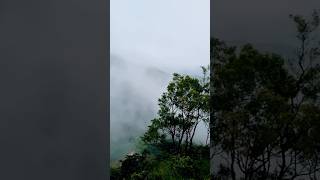 A perfect weekend trip location coorg clouds relaxing mustvisit nature [upl. by Cher]