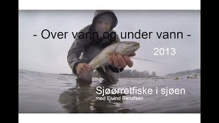 Sjøørretfiske i sjøen  Over vann og under vann 2013 Med Eivind Berulfsen [upl. by Maise]