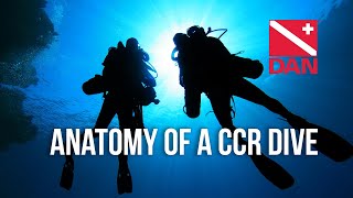 RF30  Anatomy of a CCR Dive [upl. by Rodolphe]