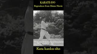 Kata kankusho KARATEDO short 空手 karate CHAMP legend [upl. by Minnie221]