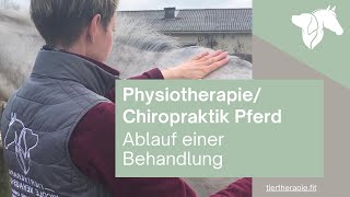 Physiotherapie Chiropraktik Pferd  Ablauf einer Behandlung [upl. by Milburt503]