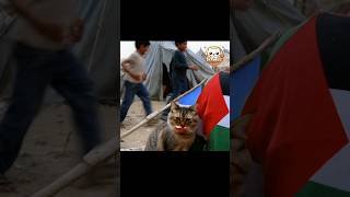 Atouna el toufouli atounaeltoufoule funny cat fyp shorts [upl. by Qiratla]