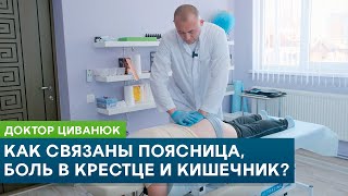 Как связаны поясница боль в крестце и кишечник Доктор Циванюк [upl. by Bar]