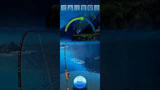 Night strike Sand Steenbras 23kg in Madeira shorts fishing game [upl. by Oilcareh]