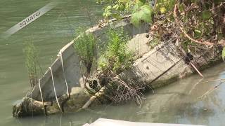 Il cimitero delle barche sul Tevere Fiumicino [upl. by Dressel]