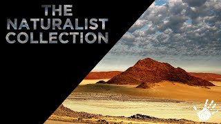 The Naturalist Collection  Sea Of Sand [upl. by Ahsiena498]