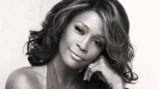 Whitney Houston vs Spike  Respect Susan [upl. by Nauqes]