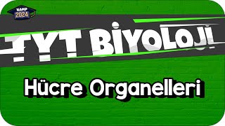 Hücre Organelleri  TYT Biyoloji KAMP2024 [upl. by Richara920]