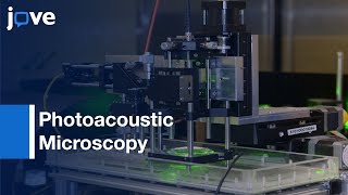 Switchable Acoustic amp Optical Resolution Photoacoustic Microscopy Blood Vasculature Imaging [upl. by Dygal]