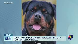 Suspeito de envenenar Rottweiler é preso em flagrante em joinville [upl. by Chadbourne]