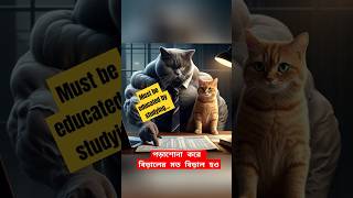 পড়াশোনা করে শিক্ষিত হতে হবে  Educated Cat youtubeshorts cuteanimals cartoon catvideos [upl. by Ardnaz994]