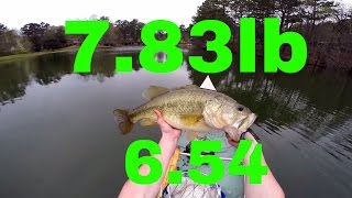 Alabama Pond Bass Fishing [upl. by Dimphia]