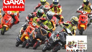 Trofeo Nazionale Scooter Velocità  MALOSSI DAY  Gara Completa  TrofeI Malossi 2015 [upl. by Verile]