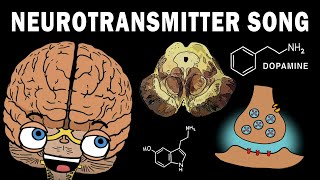 THE NEUROTRANSMITTER SONG [upl. by Sup]