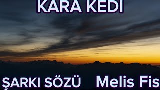 MELİS FİS  quotKARA KEDİquot ŞARKI SÖZLERİLYRICS [upl. by Stav587]