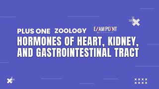 CLASS 11TH ZOOLOGY  CHAPTER 11 HORMONES OF HEART KIDNEY AND GASTROINTESTINAL TRACT [upl. by Lenneuq]