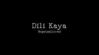 Dili Kaya  Nopetsallowed Lyrics [upl. by Anair747]