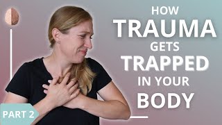 How Trauma Gets Trapped in Your Body and Nervous System 23 [upl. by Hashim]