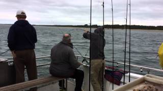 WESTERNPORT FISHING CHARTERS [upl. by Bunny]