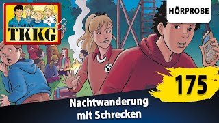 TKKG  Folge 175 Nachtwanderung mit Schrecken  Hörprobe zum Hörspiel [upl. by Eecrad844]