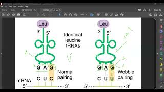 L101 The genetic code [upl. by Zetrom]