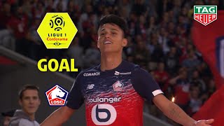 Goal Luiz ARAUJO 53  LOSC  Angers SCO 21 LOSCSCO  201920 [upl. by Drahsir788]