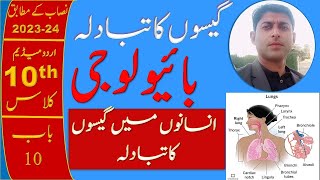 gaseous exchange in humans  class 10 biology chapter 1  in urdu medium wlhb waqar ul hasan Academy [upl. by Kimberli]