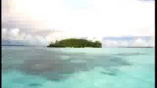 Shipwrecked 2008 Battle Of The Islands Episode 14 Part 8 [upl. by Marrilee180]