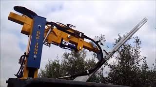 Pruning Machines Olive Trees Potatrice Olivi [upl. by Friederike]