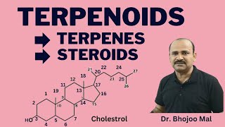 Terpenoids  Terpenes  Steroids  Lipids  Class 11 biology  by Dr Bhojoo Mal [upl. by Dermott]